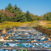 Follow the D&H Rail Trail