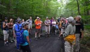 D&H Rail Trail