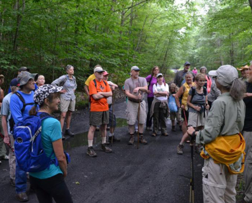 D&H Rail Trail