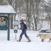 D&H Rail Trail Winter Walk with dog